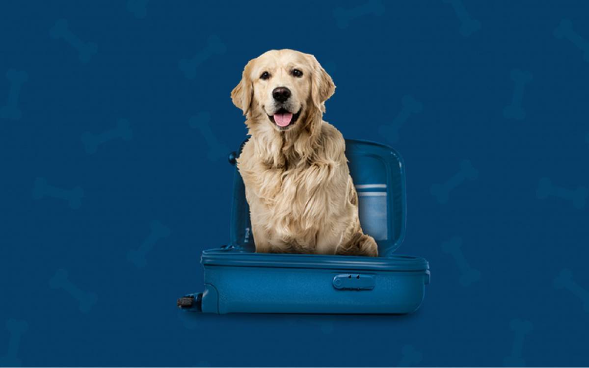 Somos pet friendly Hotel ILUNION Golf Badajoz Somos pet friendly Hotel ILUNION Golf Badajoz